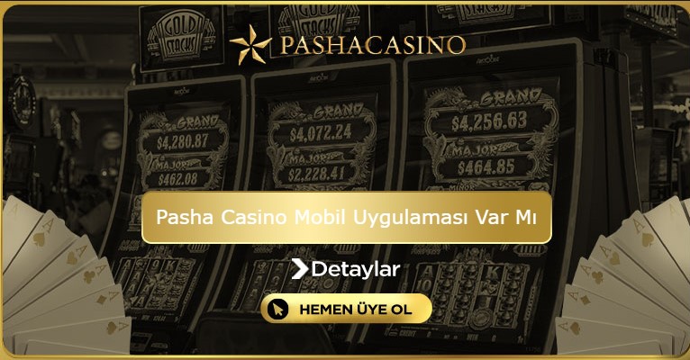 Pasha Casino Mobil Uygulaması Var Mı